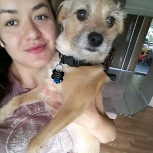 Meet your Posher, Carolina